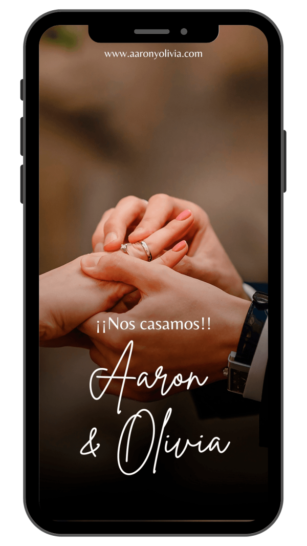 pagina-web-boda pagina-web-boda